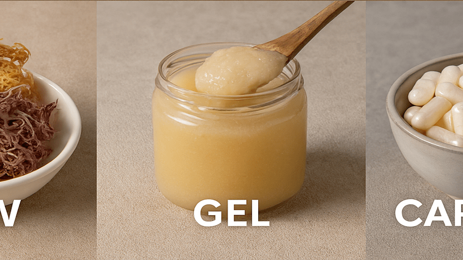 Raw vs Gel vs Capsules: What’s the Best Sea Moss Format? A Complete Guide to Choosing the Right One for You - Red's Kitchen Sink