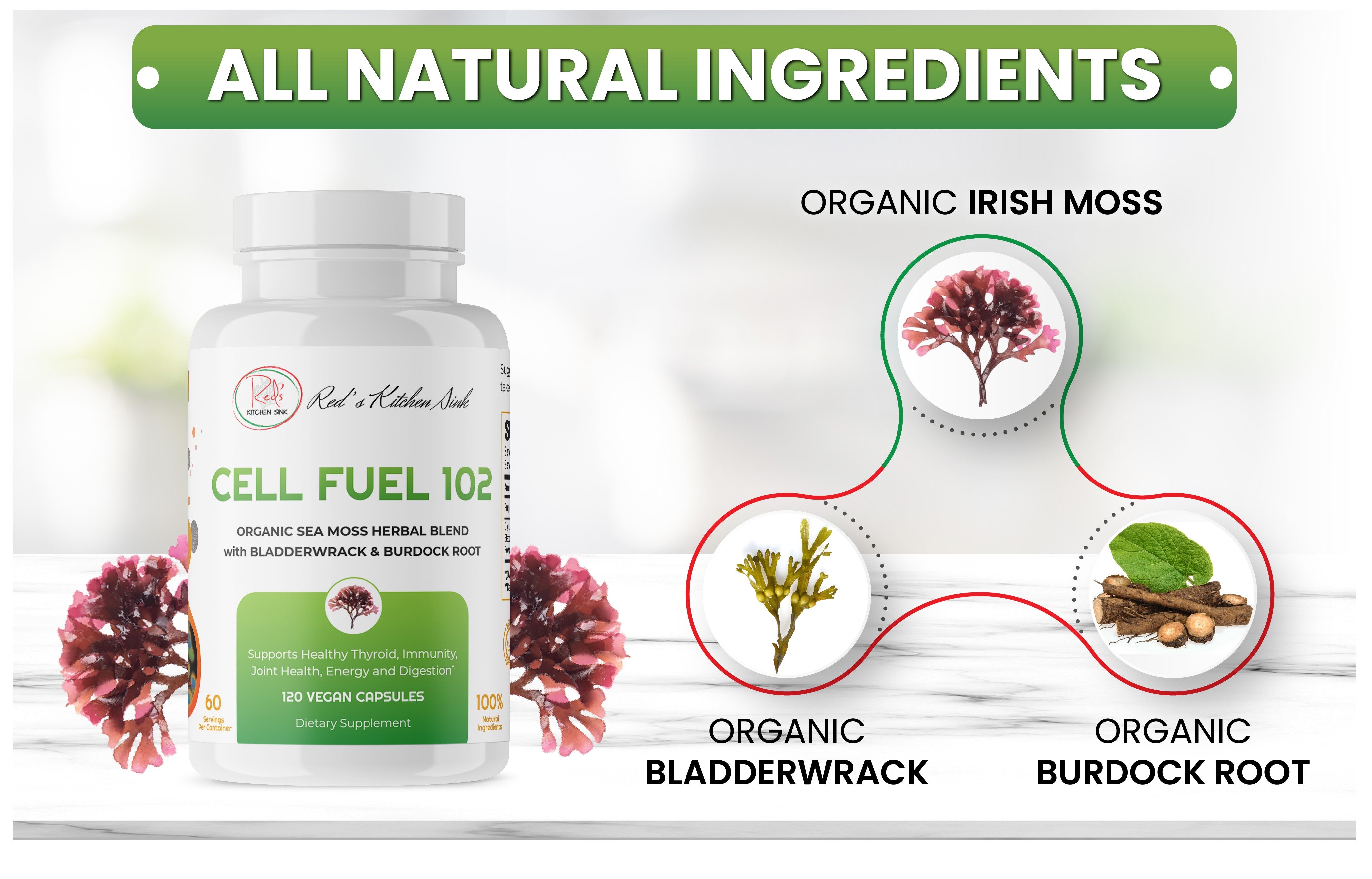 Cell Fuel 102 Capsules : Organic Irish Moss, Bladderwrack & Burdock Root - Red's Kitchen Sink