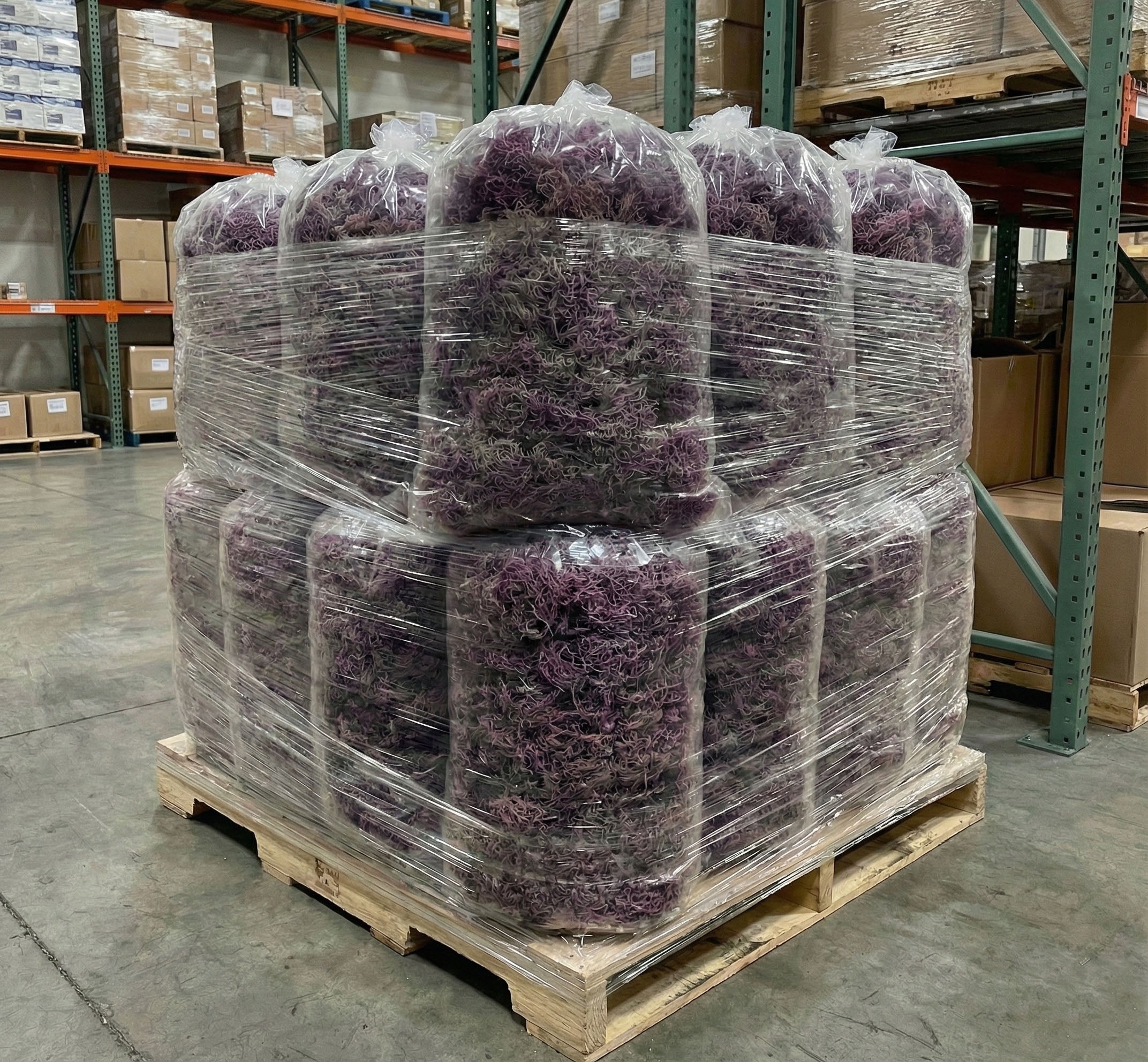 Wholesale Purple Sea Moss | Irish Moss | Wildcrafted - Red's Kitchen Sink