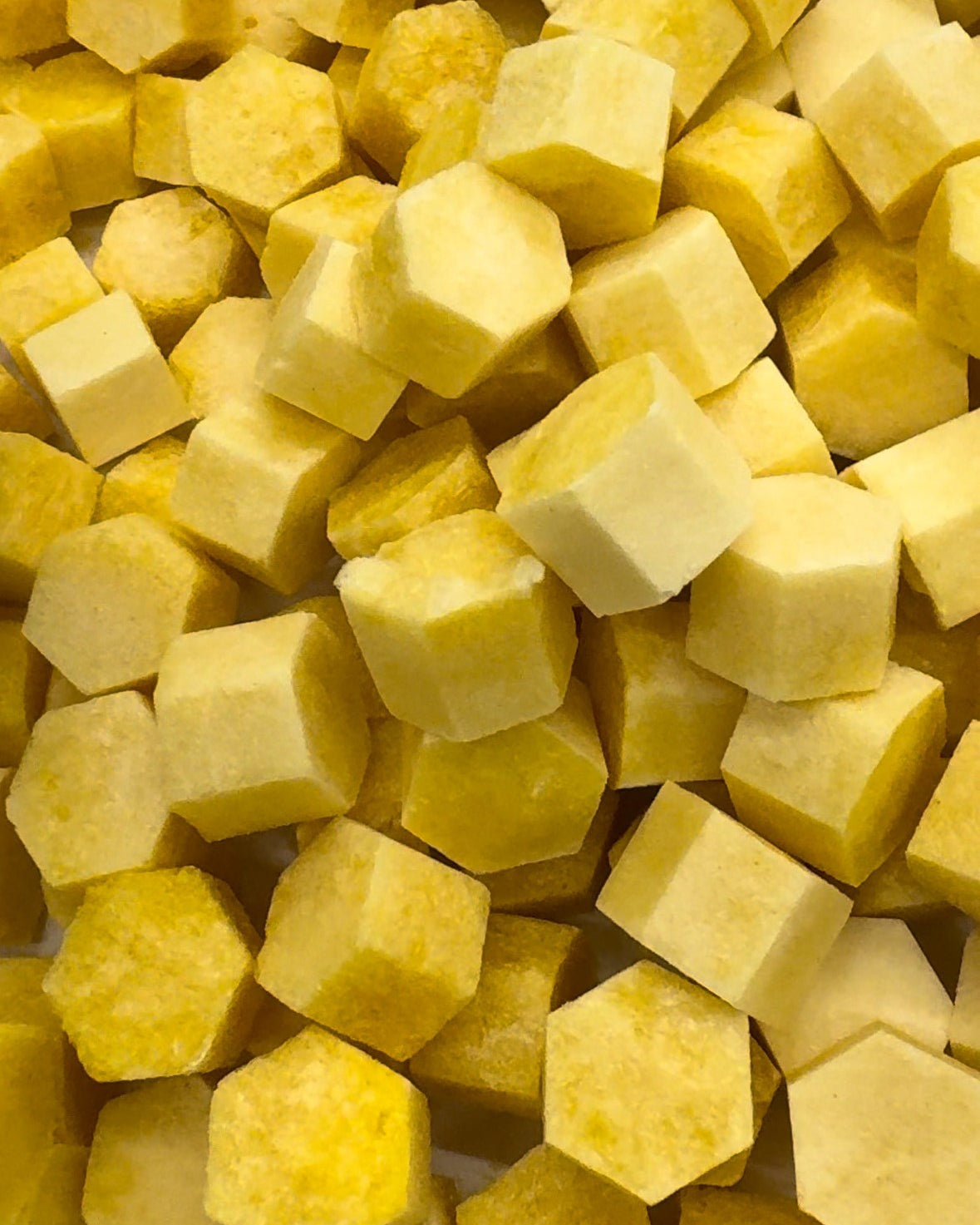 Sea Moss Gel Bites – Freeze - Dried Superfood Snack | Ready to Eat - Red's Kitchen Sink