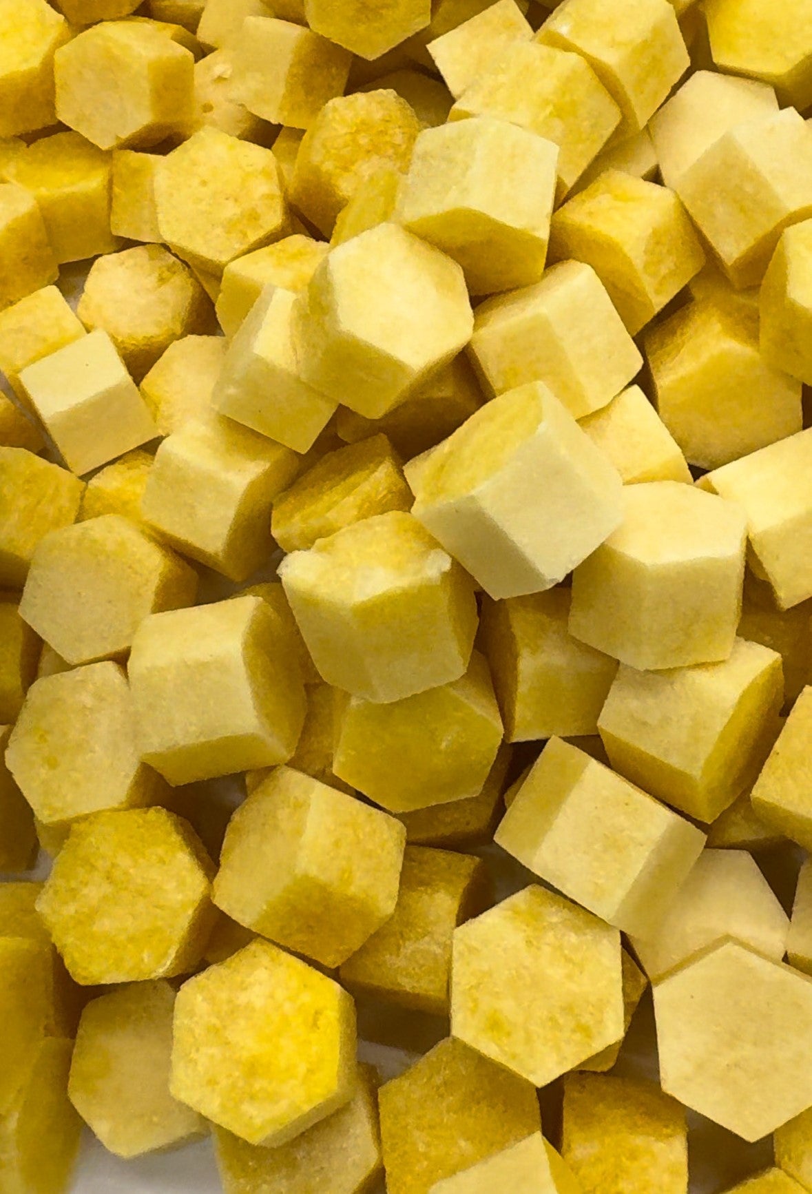 Sea Moss Gel Bites – Freeze - Dried Superfood Snack | Ready to Eat - Red's Kitchen Sink