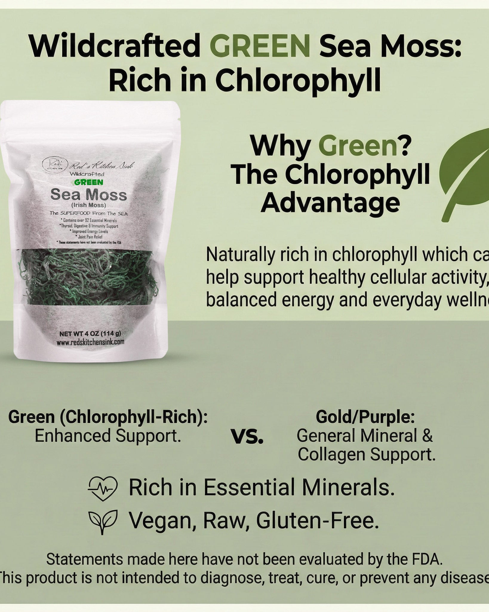 GREEN SEA MOSS | IRISH MOSS | WILDCRAFTED RAW VEGAN - Red's Kitchen Sink