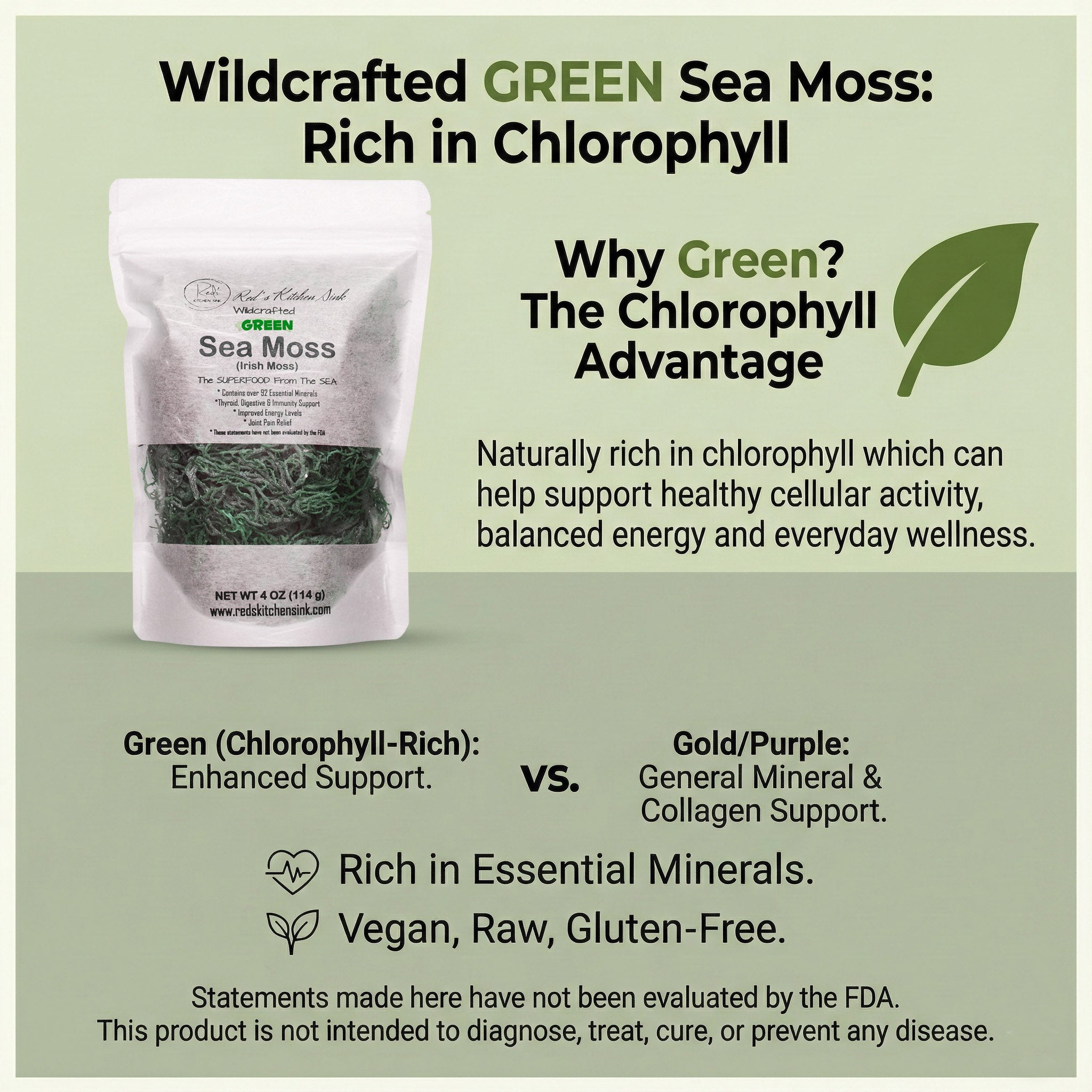 GREEN SEA MOSS | IRISH MOSS | WILDCRAFTED RAW VEGAN - Red's Kitchen Sink