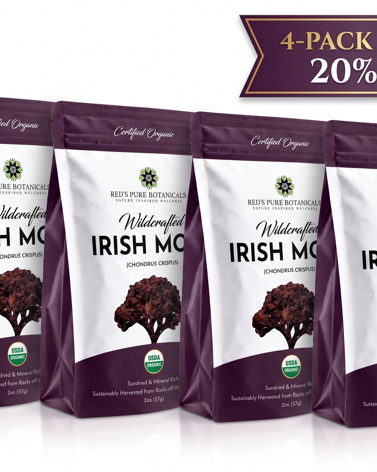Irish Moss | Wildcrafted | Chondrus Crispus | USDA Certified Organic - Red's Kitchen Sink