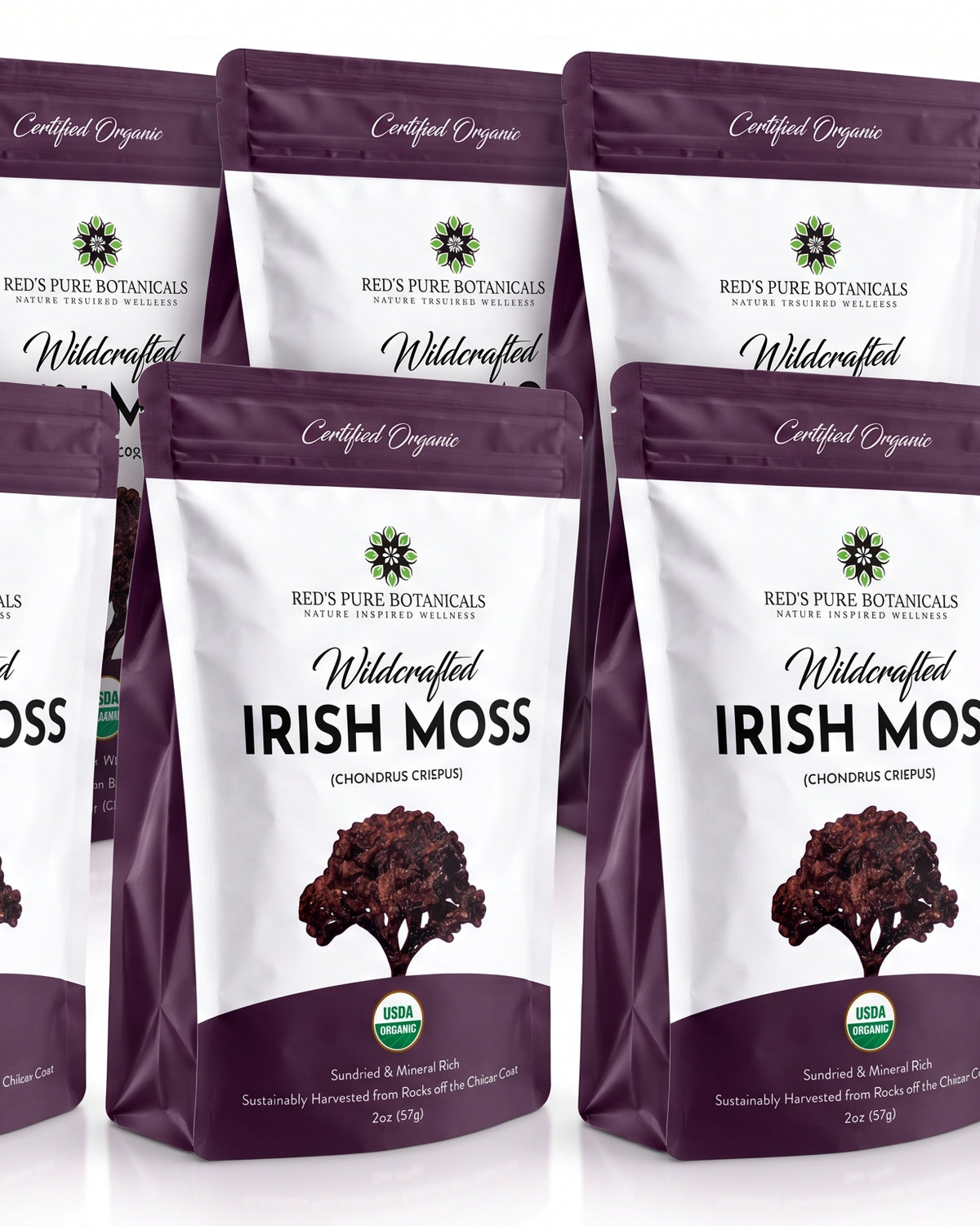 Irish Moss | Wildcrafted | Chondrus Crispus | USDA Certified Organic - Red's Kitchen Sink