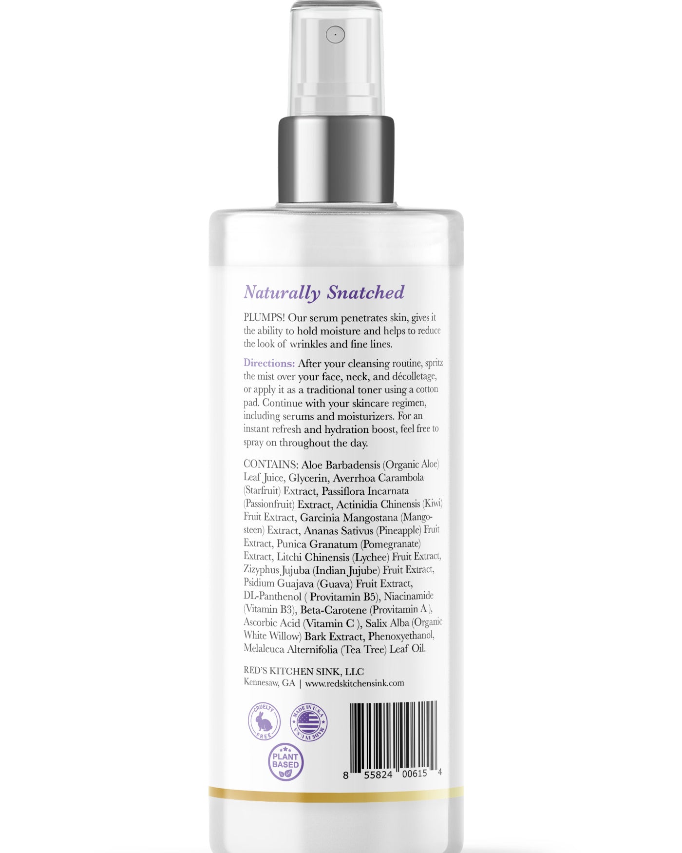 DAILY VITAMINS A B C & NIACINAMIDE ANTIOXIDANT FACIAL TONER - Red's Kitchen Sink