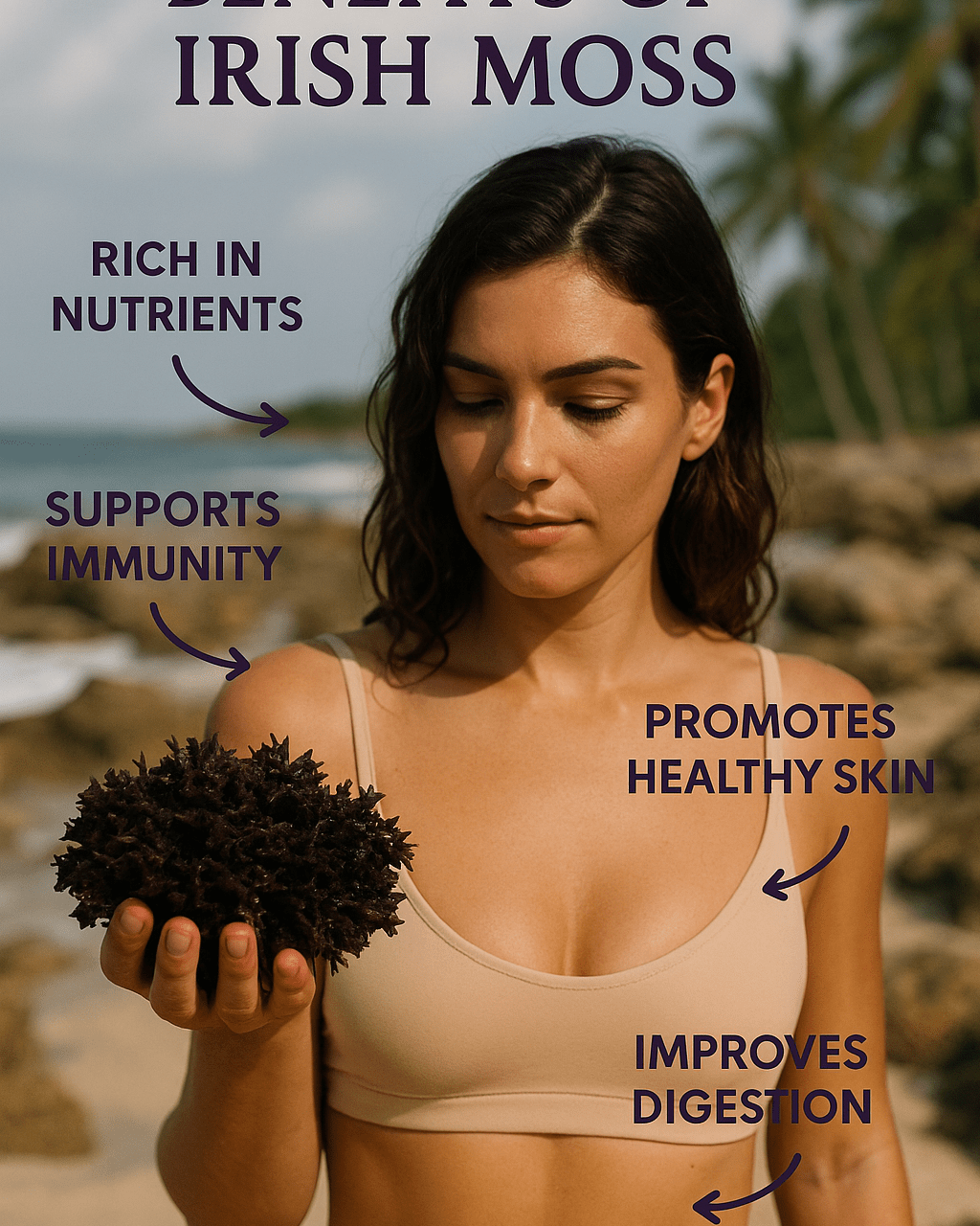 Irish Moss | Wildcrafted | Chondrus Crispus | USDA Certified Organic - Red's Kitchen Sink