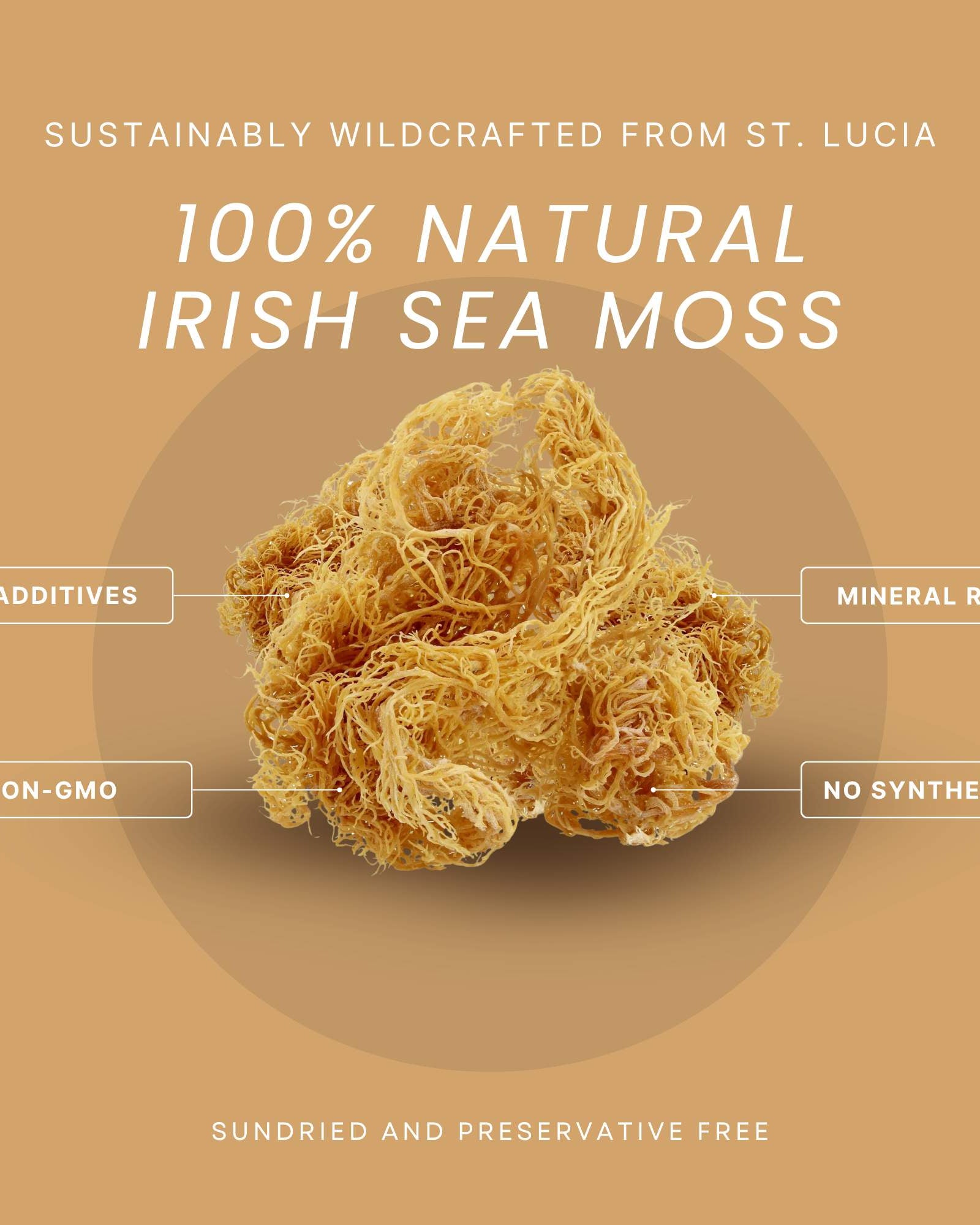 Wildcrafted Raw Irish Sea Moss – Vegan, Sun - Dried & Mineral - Rich - Red's Kitchen Sink