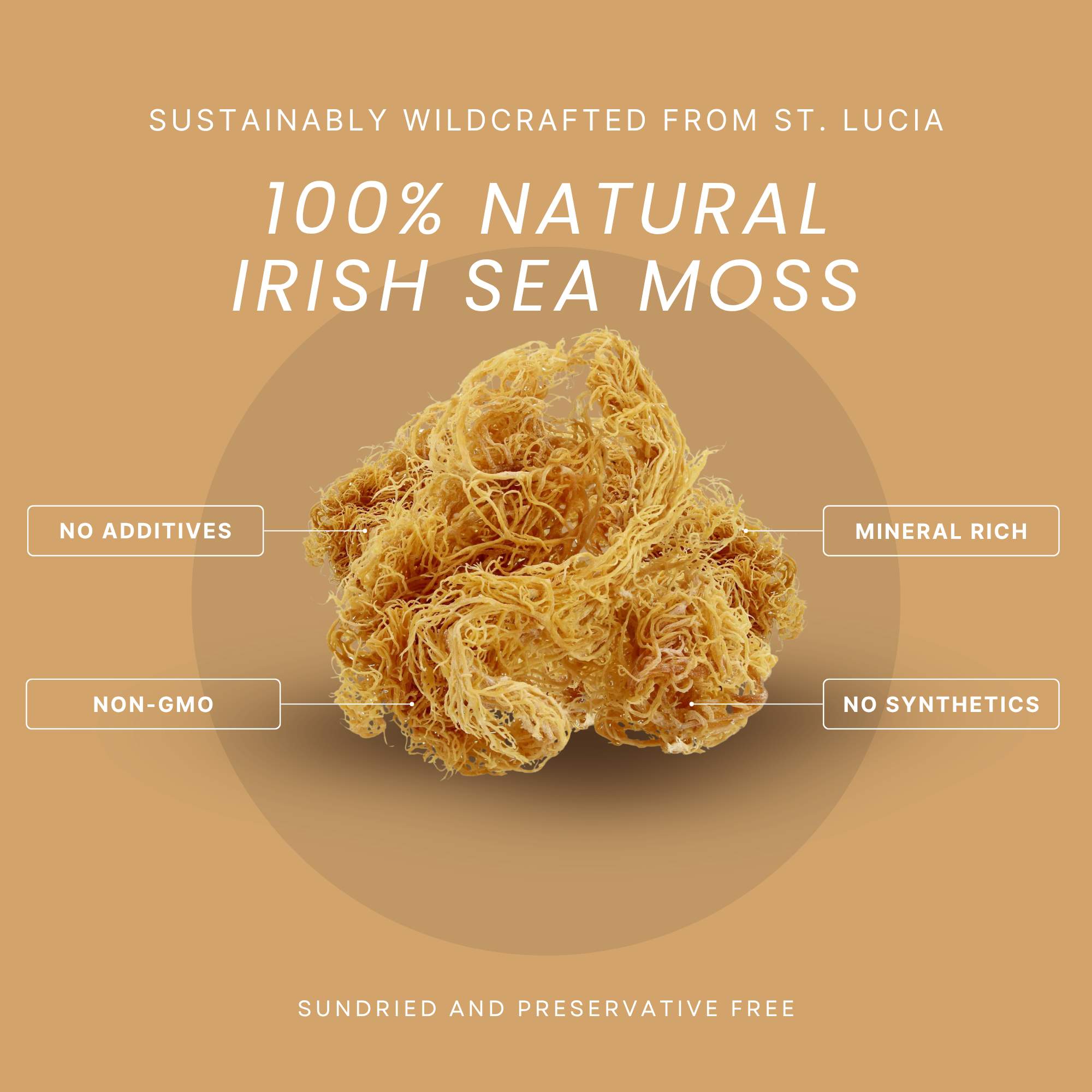 Wildcrafted Raw Irish Sea Moss – Vegan, Sun - Dried & Mineral - Rich - Red's Kitchen Sink