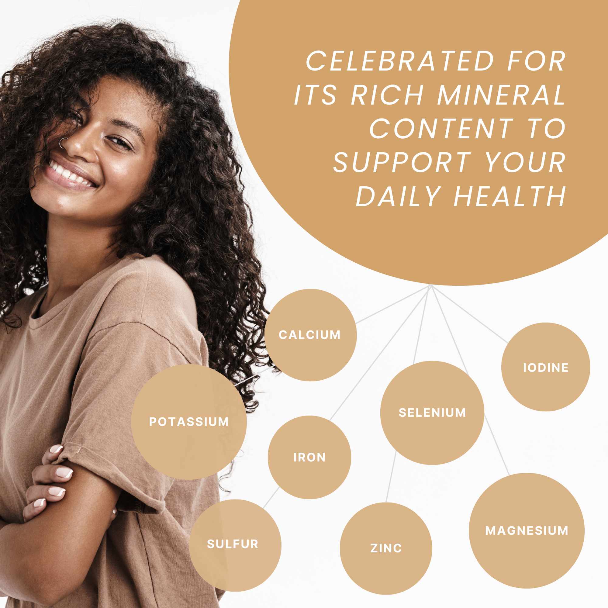 Wildcrafted Raw Irish Sea Moss – Vegan, Sun - Dried & Mineral - Rich - Red's Kitchen Sink