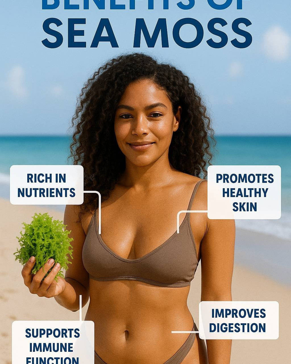 GREEN SEA MOSS | IRISH MOSS | WILDCRAFTED RAW VEGAN - Red's Kitchen Sink