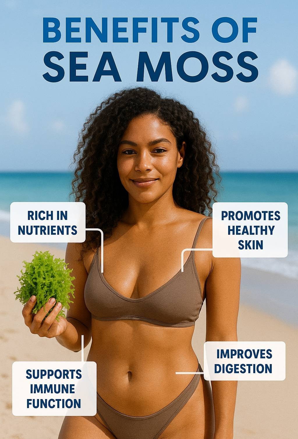 GREEN SEA MOSS | IRISH MOSS | WILDCRAFTED RAW VEGAN - Red's Kitchen Sink