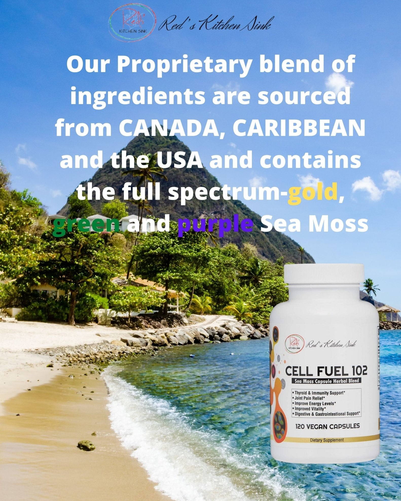 Wholesale Cell Fuel 102 Capsules: Organic Irish Moss, Bladderwrack & Burdock Root - Red's Kitchen Sink