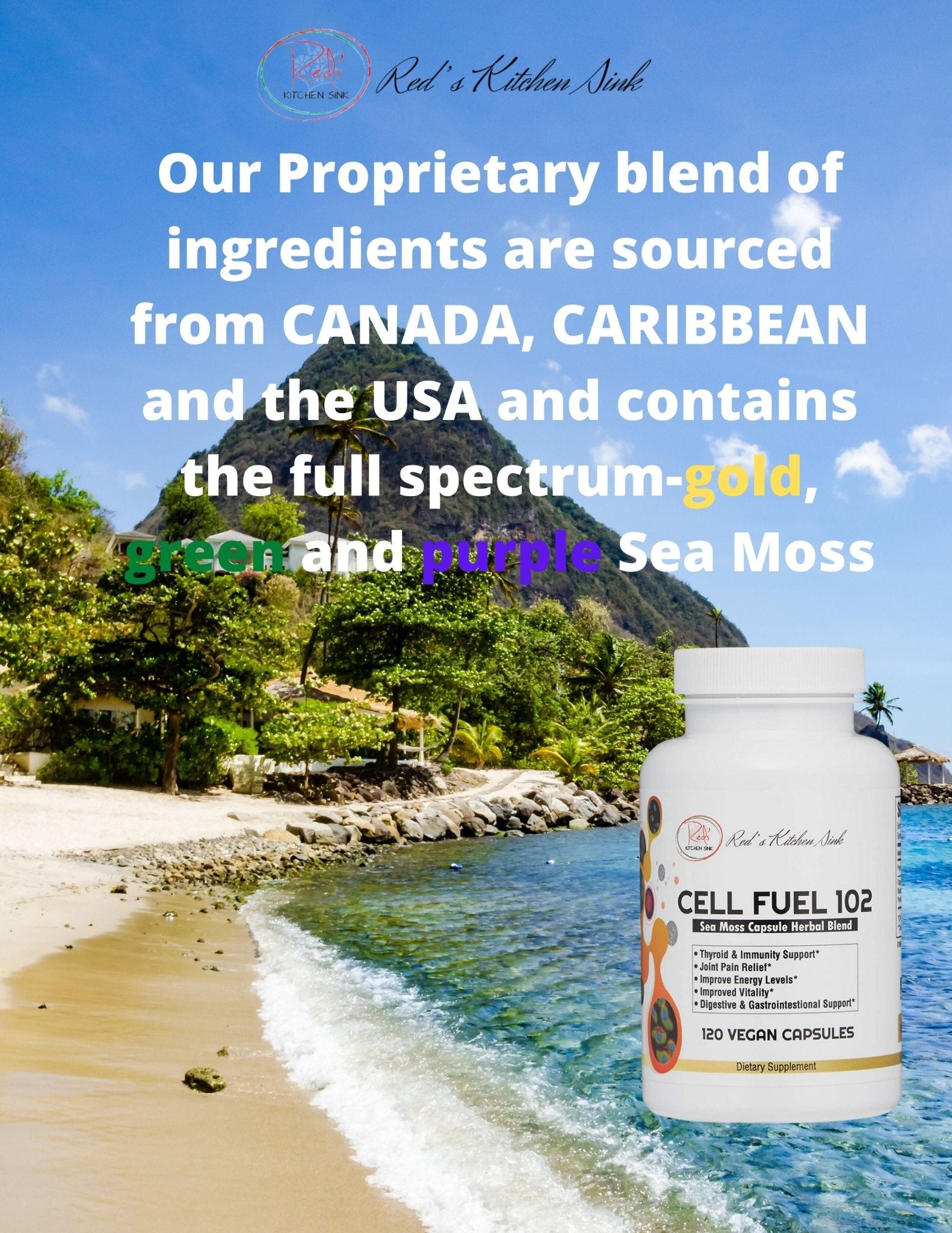 Wholesale Cell Fuel 102 Capsules: Organic Irish Moss, Bladderwrack & Burdock Root - Red's Kitchen Sink