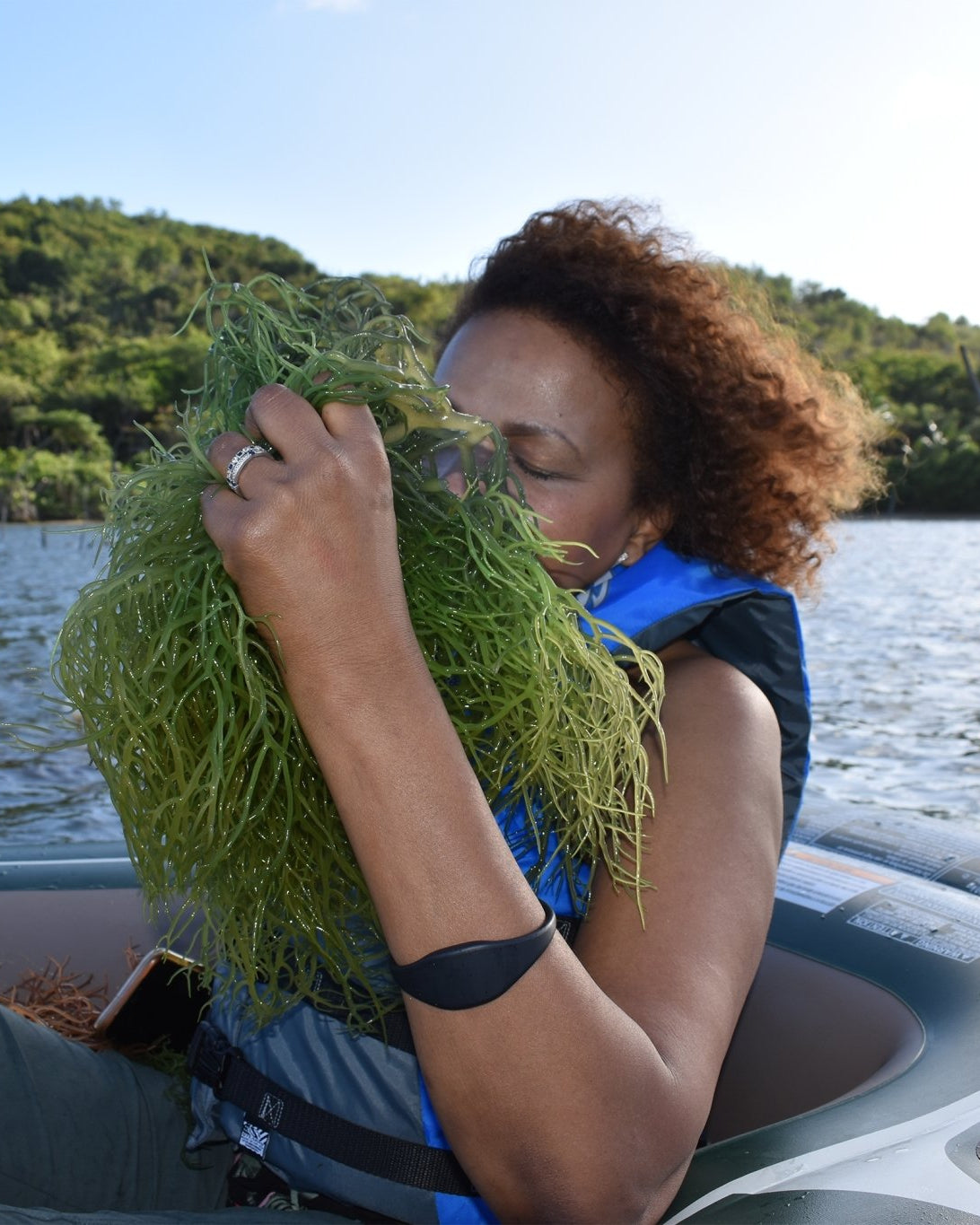 GREEN SEA MOSS | IRISH MOSS | WILDCRAFTED RAW VEGAN - Red's Kitchen Sink