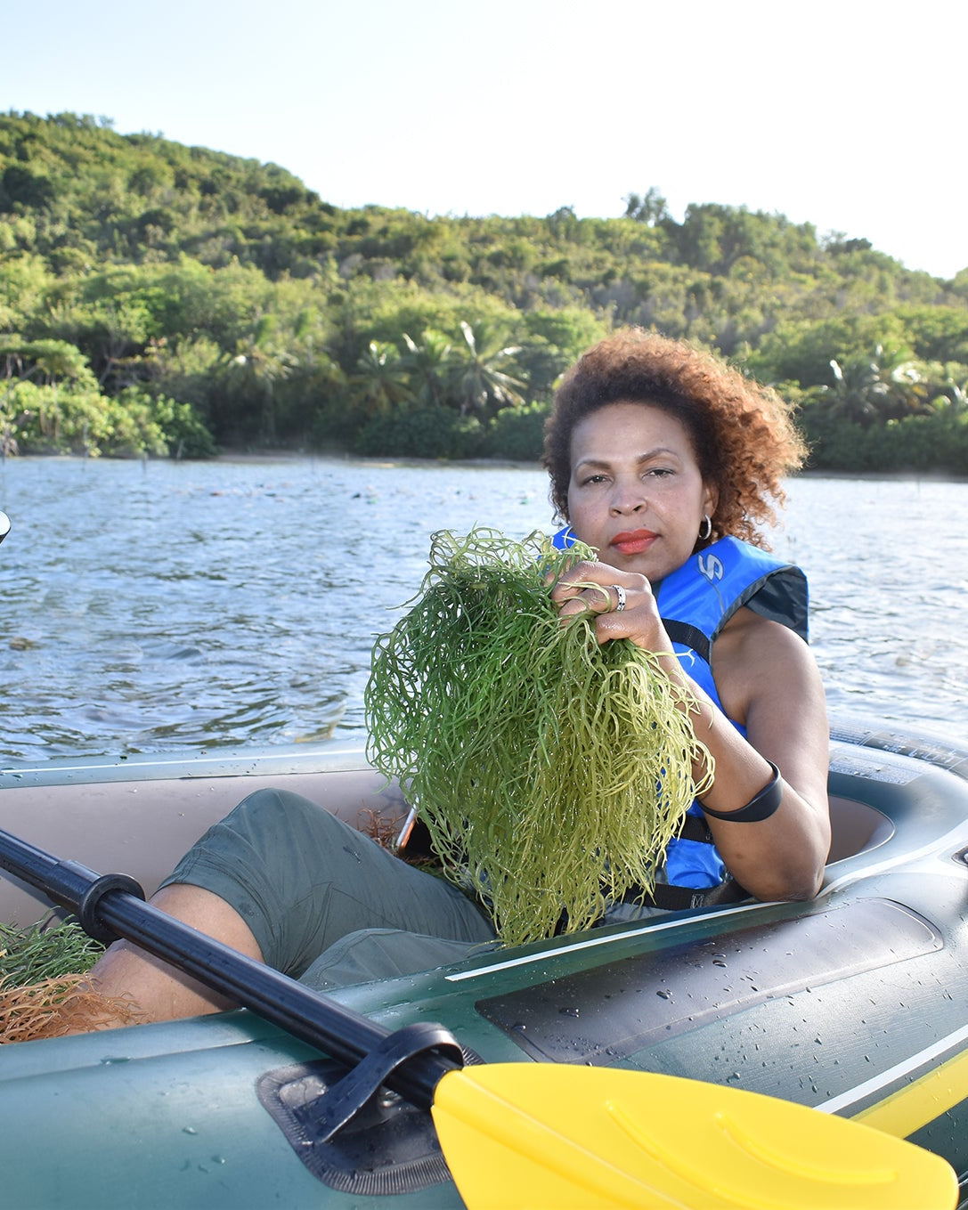 GREEN SEA MOSS | IRISH MOSS | WILDCRAFTED RAW VEGAN - Red's Kitchen Sink