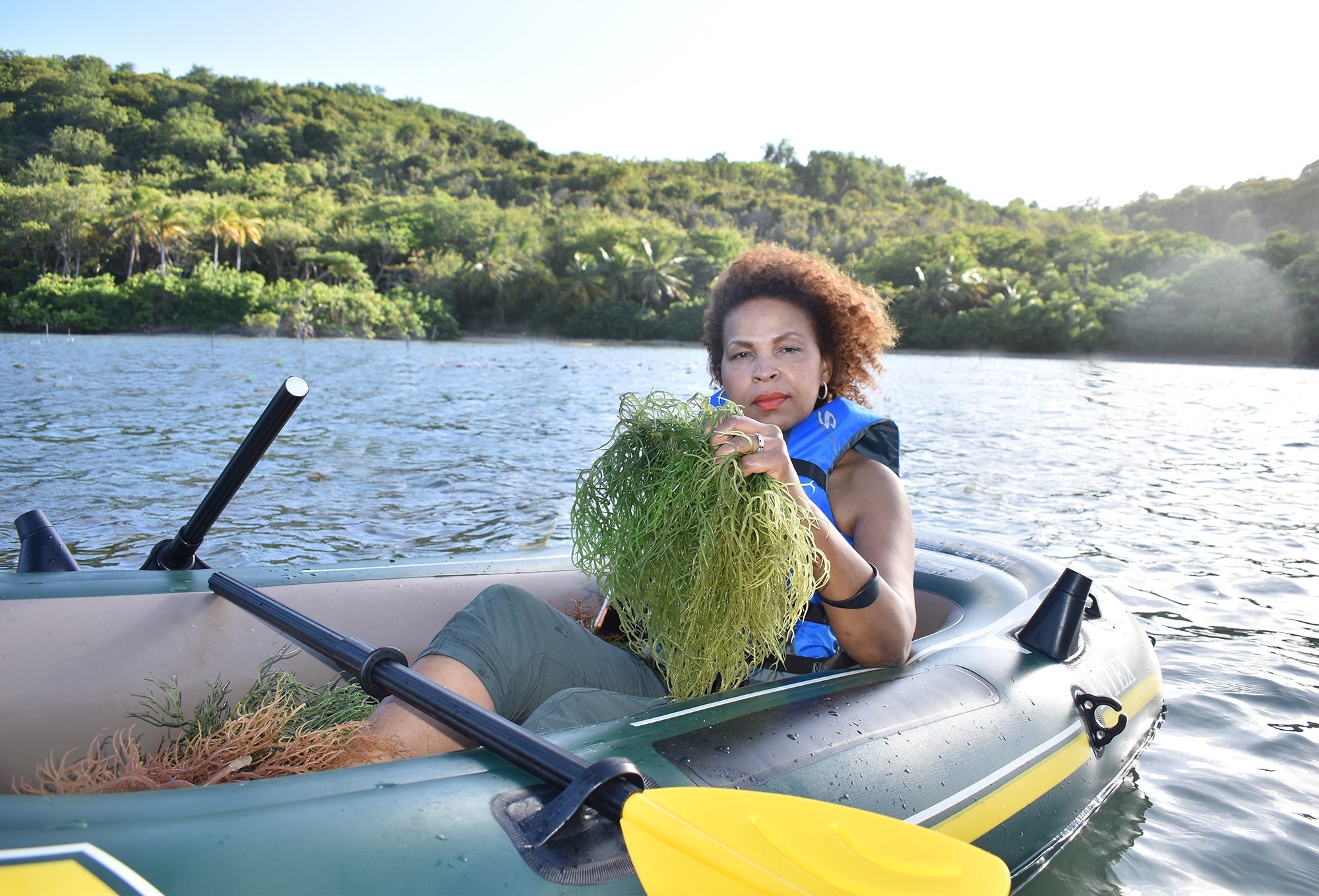 GREEN SEA MOSS | IRISH MOSS | WILDCRAFTED RAW VEGAN - Red's Kitchen Sink