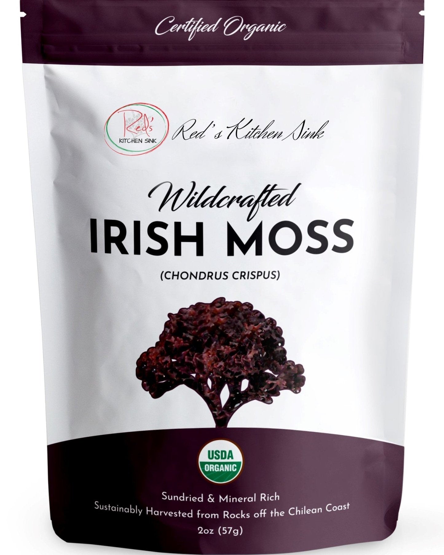 Irish Moss | Wildcrafted | Chondrus Crispus | USDA Certified Organic - Red's Kitchen Sink