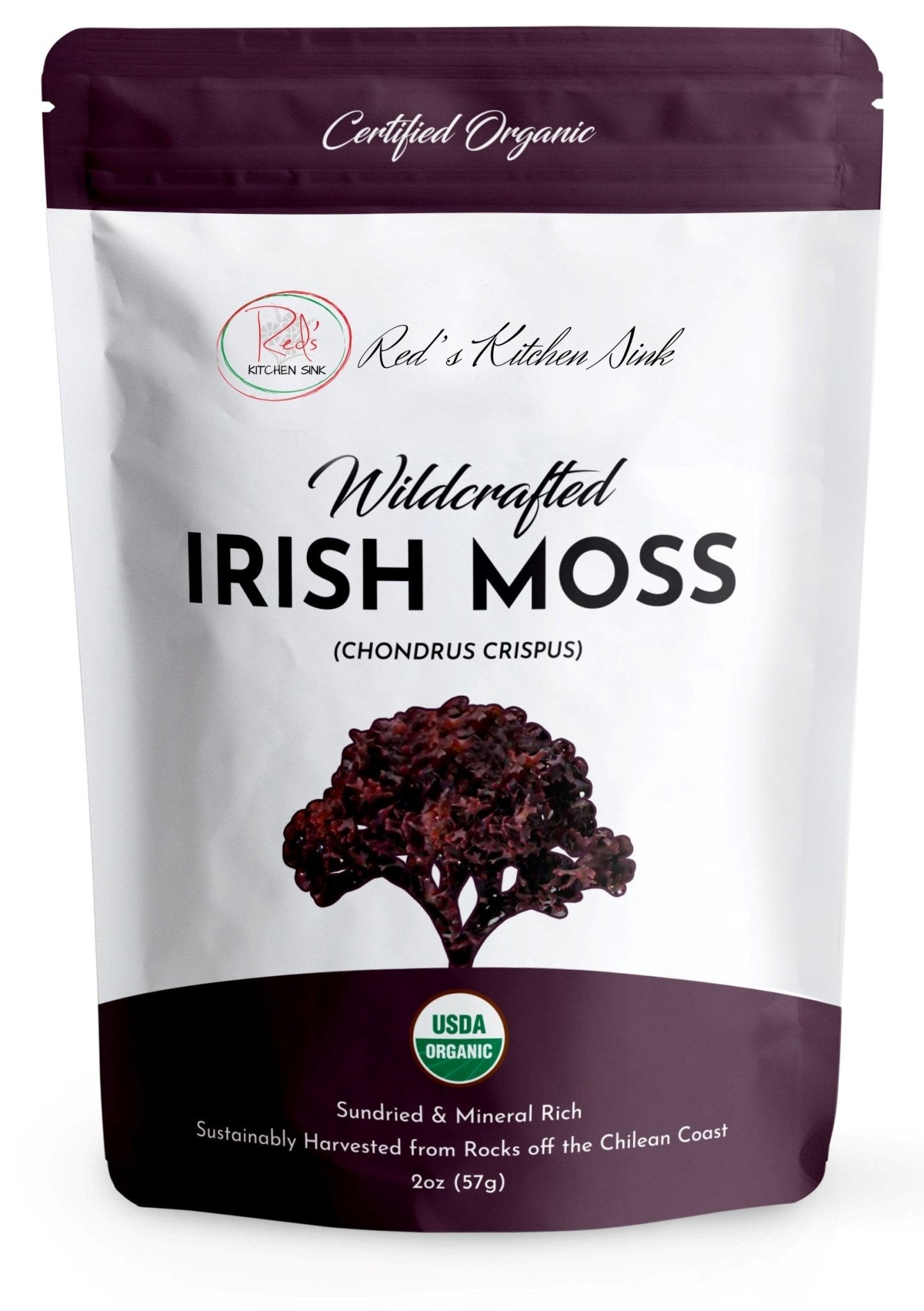 Irish Moss | Wildcrafted | Chondrus Crispus | USDA Certified Organic - Red's Kitchen Sink