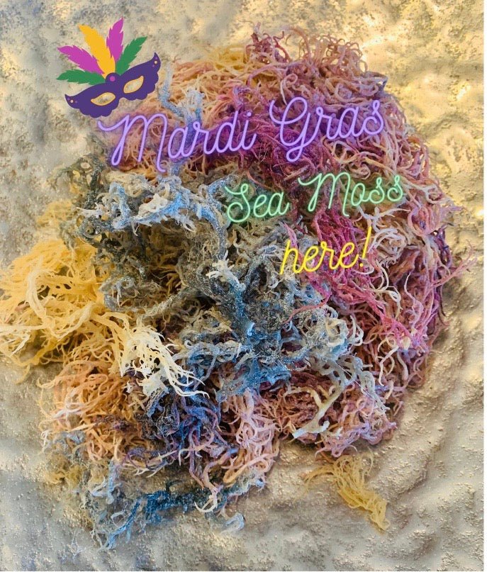 Multi-Colored / Full Spectrum Irish Sea Moss | Wildcrafted from St. Lucia - Red's Kitchen Sink