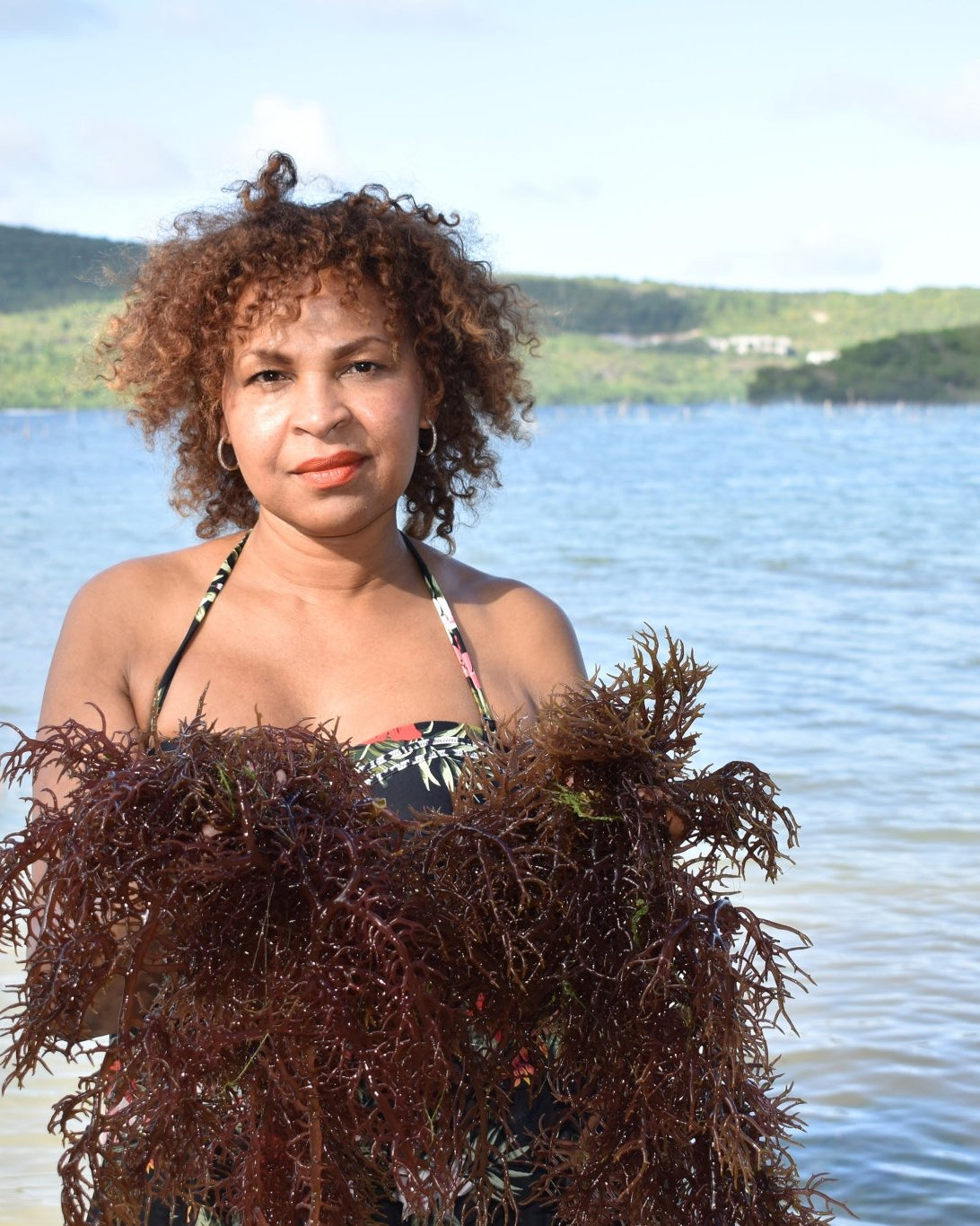 Purple Sea Moss | Irish Moss | Wildcrafted Raw 100% Natural - Red's Kitchen Sink