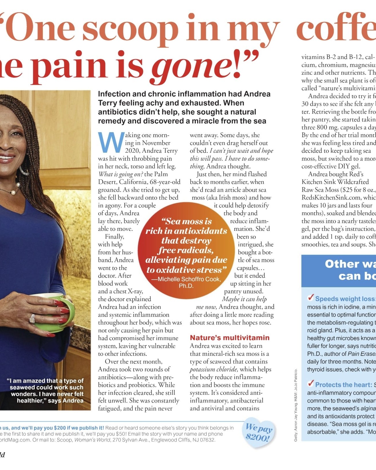 Wildcrafted Raw Irish Sea Moss – Vegan, Sun - Dried & Mineral - Rich - Red's Kitchen Sink