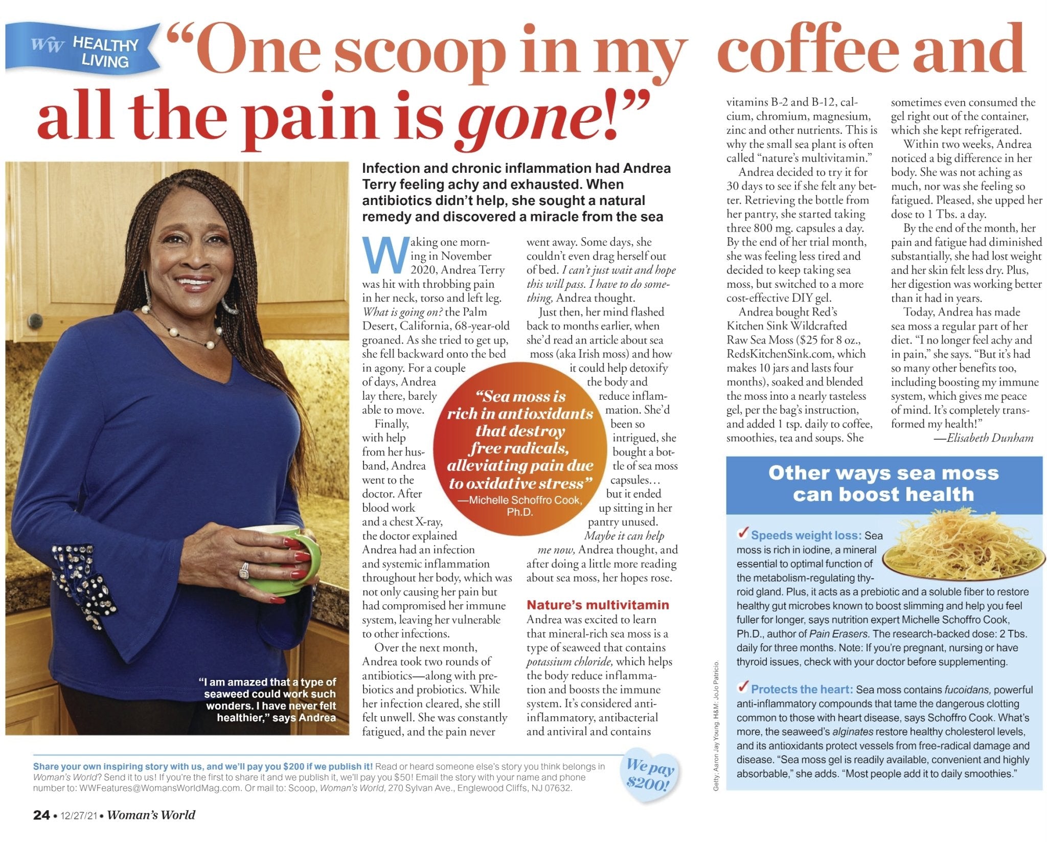 Wildcrafted Raw Irish Sea Moss – Vegan, Sun - Dried & Mineral - Rich - Red's Kitchen Sink