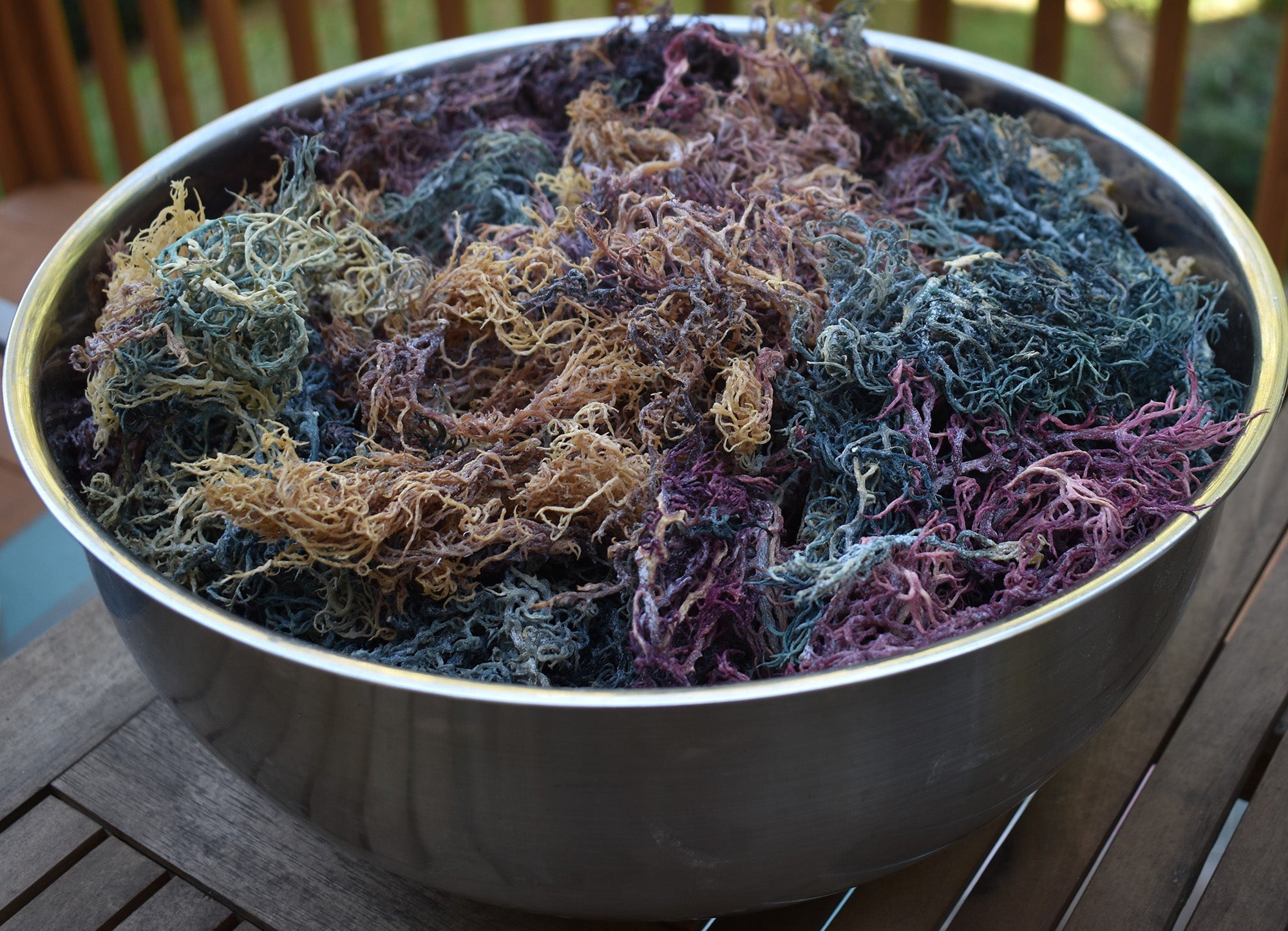 Wholesale Multi - Colored / Full Spectrum Sea Moss | Wildcrafted - Red's Kitchen Sink