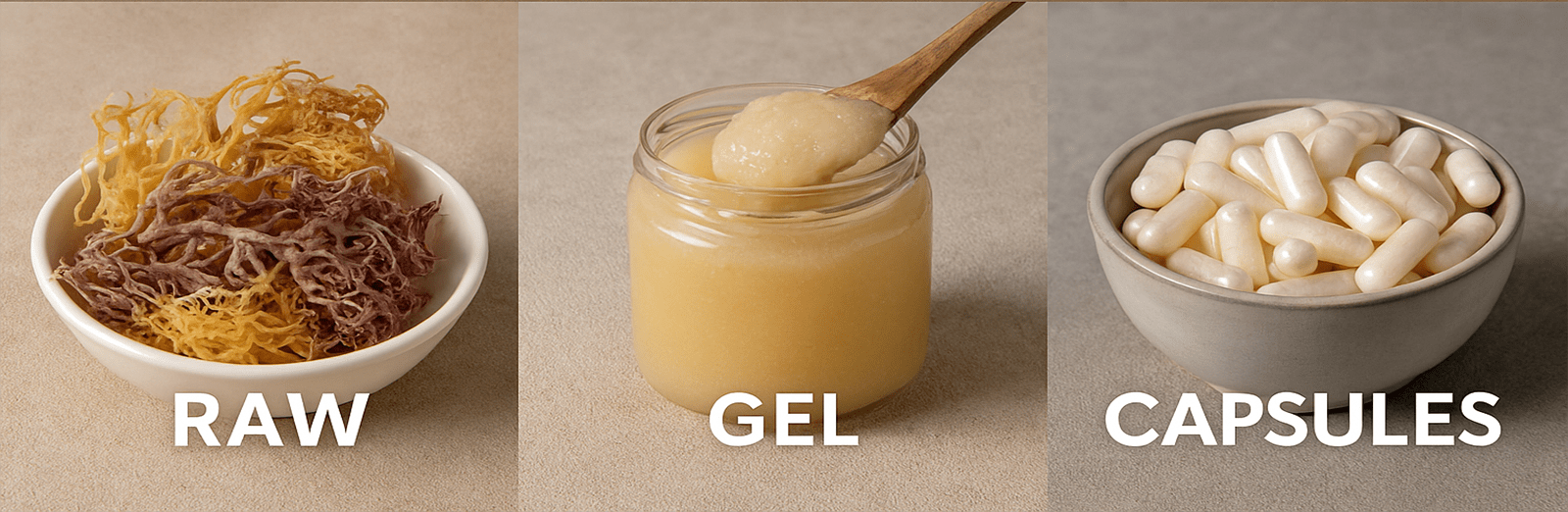 Raw vs Gel vs Capsules: What’s the Best Sea Moss Format? A Complete Guide to Choosing the Right One for You - Red's Kitchen Sink