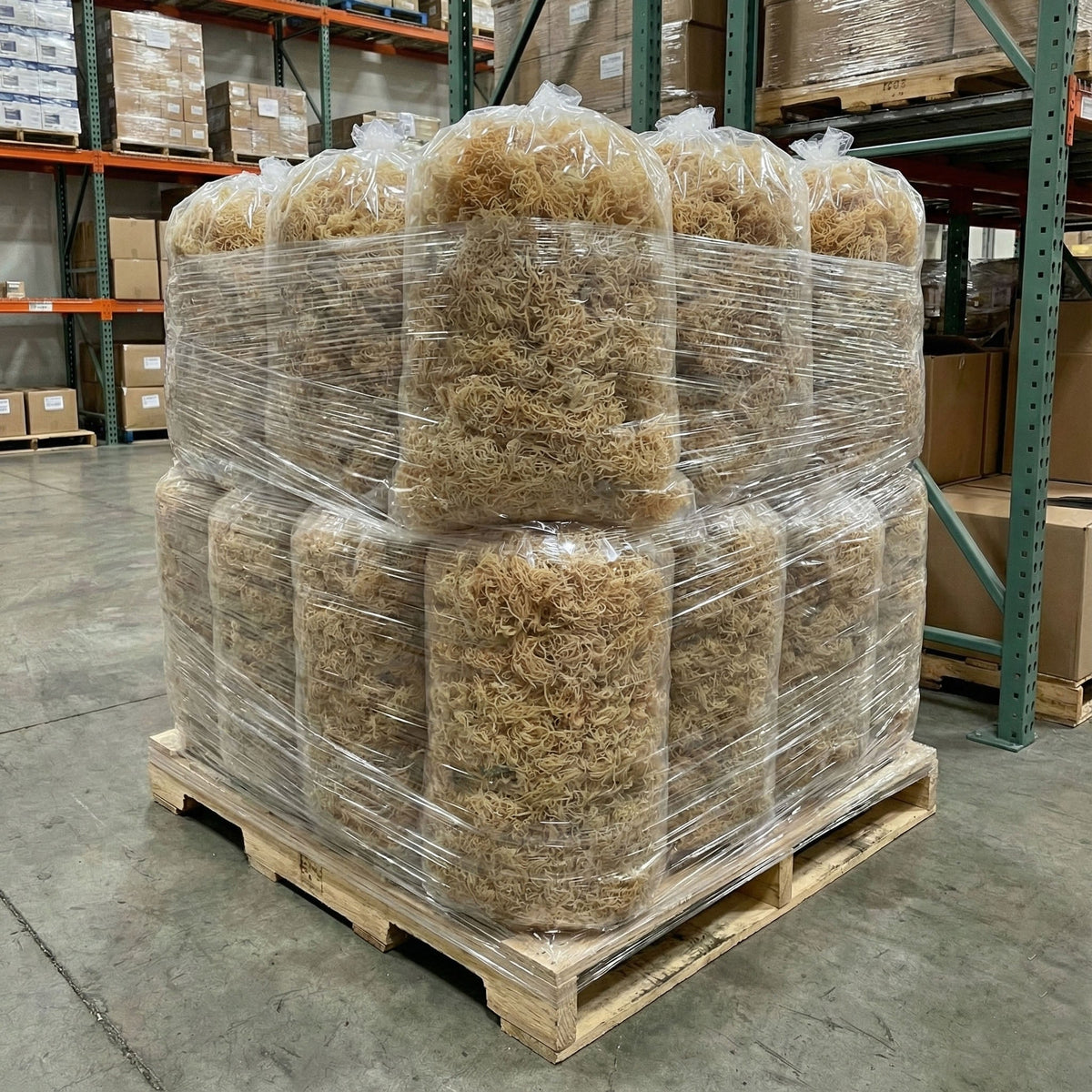 Wholesale Sea Moss for Small Businesses: What to Look for in a Supplier and How to Sell It - Red's Kitchen Sink