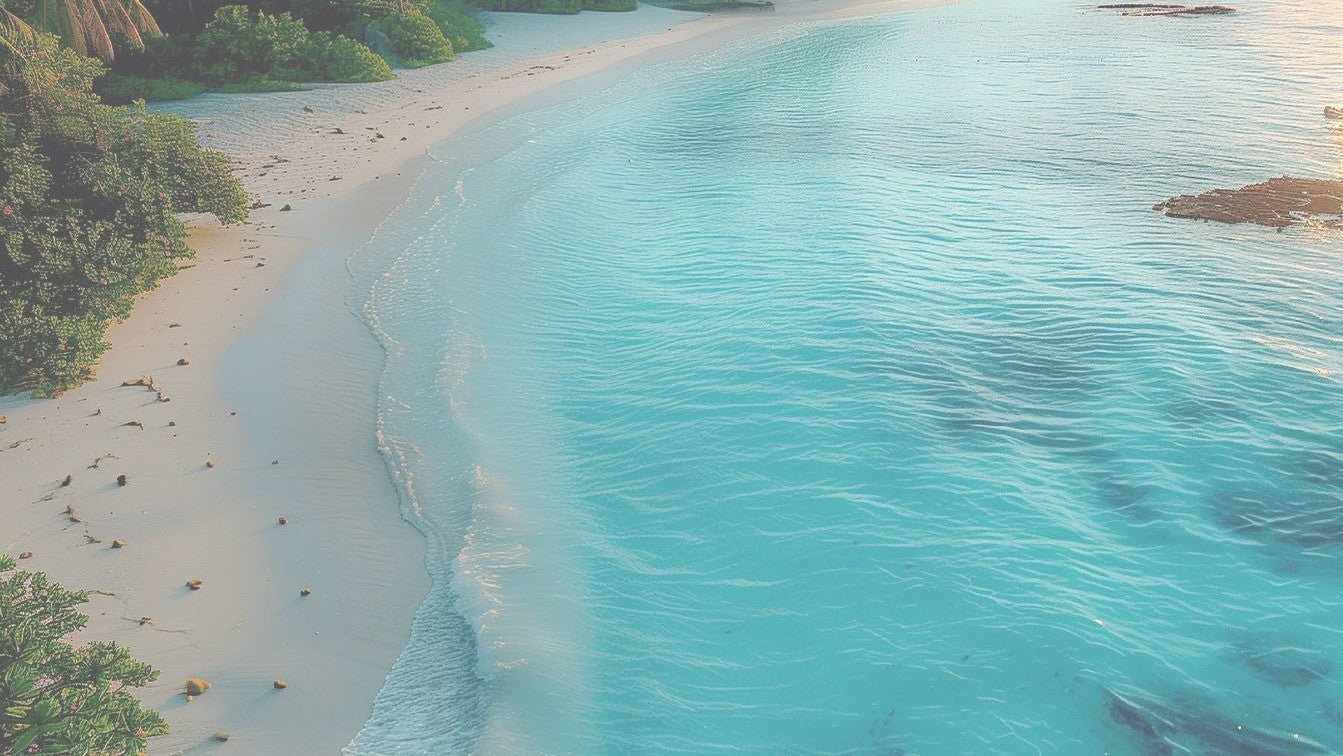 Sea Moss Marketplace - Red's Kitchen Sink