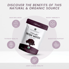 Irish Moss | Wildcrafted | Chondrus Crispus | USDA Certified Organic - Red's Kitchen Sink