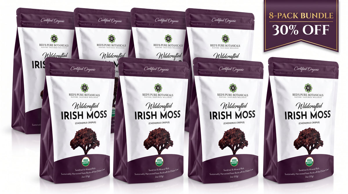 Irish Moss | Wildcrafted | Chondrus Crispus | USDA Certified Organic - Red's Kitchen Sink