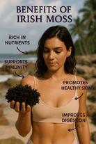 Irish Moss | Wildcrafted | Chondrus Crispus | USDA Certified Organic - Red's Kitchen Sink