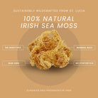 Wildcrafted Raw Irish Sea Moss – Vegan, Sun - Dried & Mineral - Rich - Red's Kitchen Sink