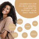 Wildcrafted Raw Irish Sea Moss – Vegan, Sun - Dried & Mineral - Rich - Red's Kitchen Sink