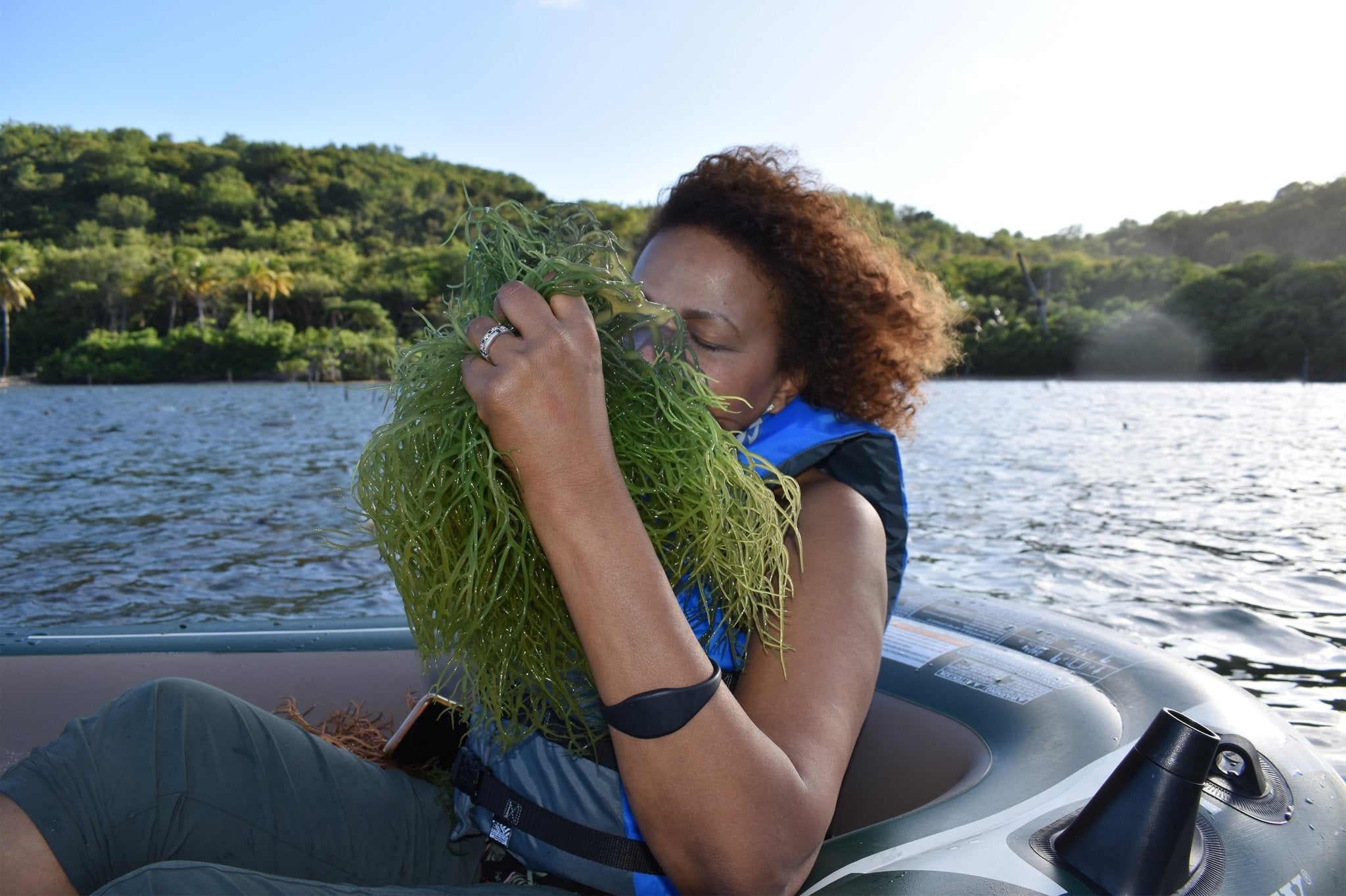 Green Sea Moss