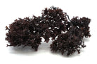 Irish Moss | Wildcrafted | Chondrus Crispus | USDA Certified Organic - Red's Kitchen Sink