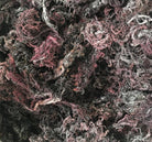 Purple Sea Moss | Irish Moss | Wildcrafted Raw 100% Natural - Red's Kitchen Sink